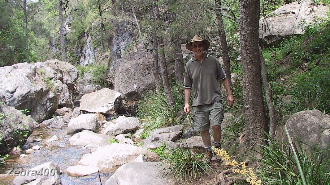 04-Laurie takes a walk near Wombeyan Caves.JPG